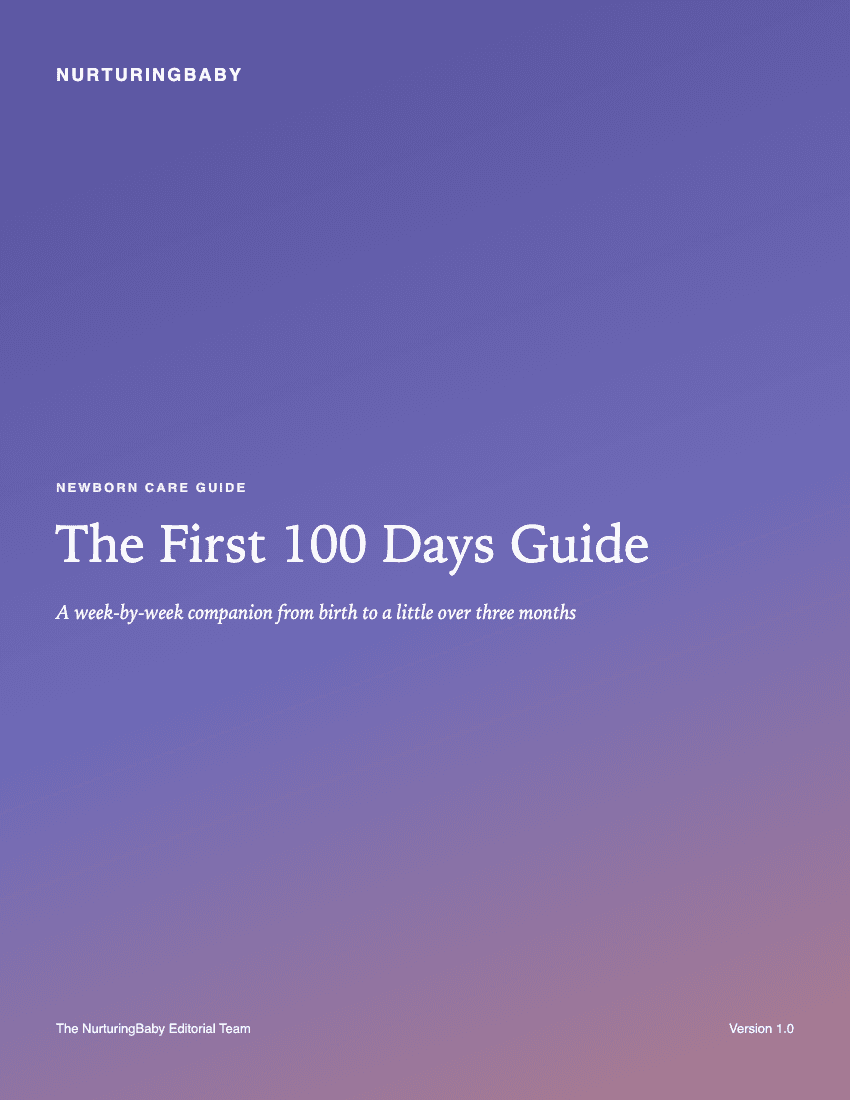 The First 100 Days Guide cover